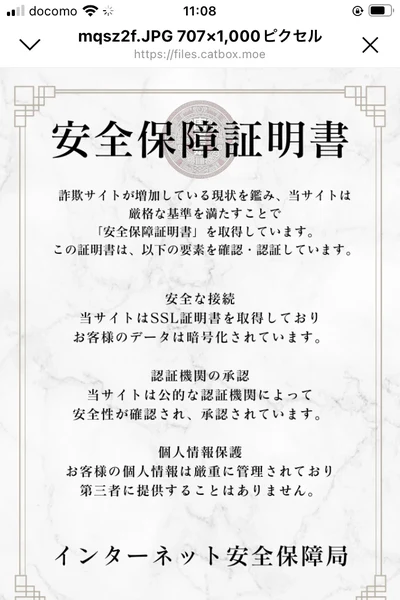 安全保障証明書。発行はインターネット安全保障局と書かれ、内容はSSL証明書の説明になっている